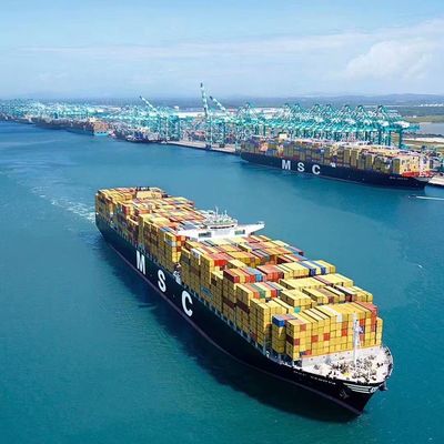 Custom DDU Shipping Sea Shipping Freight Forwarder From China To Canada